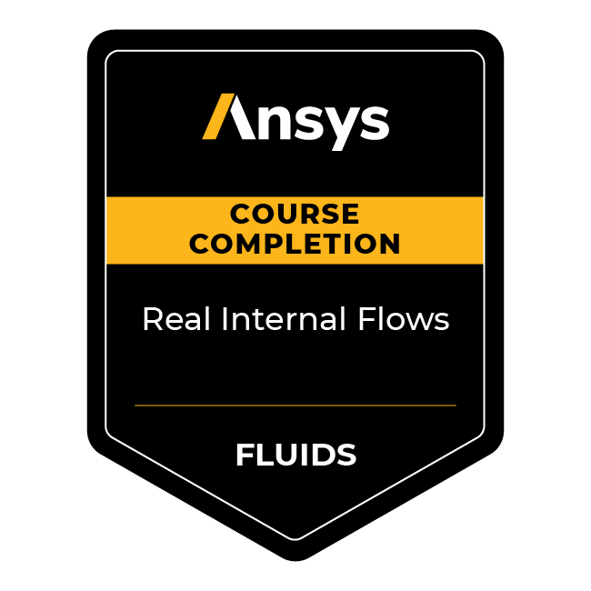 Ansys Course Completion: Real Internal Flows